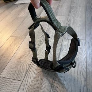 KONG MAX Neoprene Padded Dog Harness Size Small Green